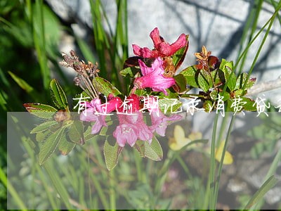 有过逾期记录消费贷利率 有过逾期记录消费贷利率