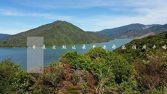 有过逾期记录申请什么信用卡吗
