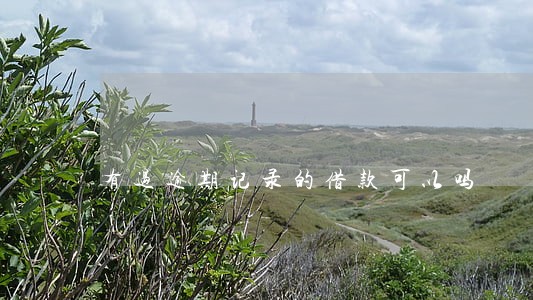 有过逾期记录的借款可以吗 有过逾期记录的借款可以吗