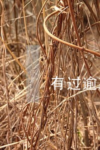 有过逾期记录的能办公务卡吗 有过逾期记录的能办公务卡吗