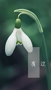 有过逾期记录的贷款 有过逾期记录的贷款