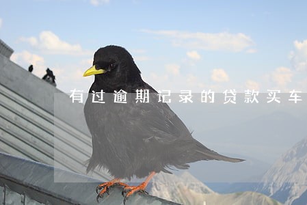 有过逾期记录的贷款买车吗 有过逾期记录的贷款买车吗