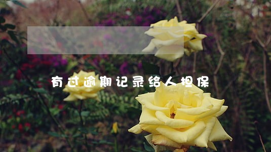 有过逾期记录给人担保 有过逾期记录给人担保
