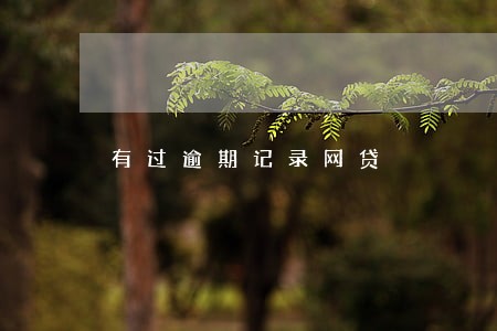 有过逾期记录网贷 有过逾期记录网贷