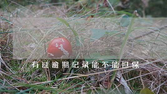 有过逾期记录能不能担保 有过逾期记录能不能担保