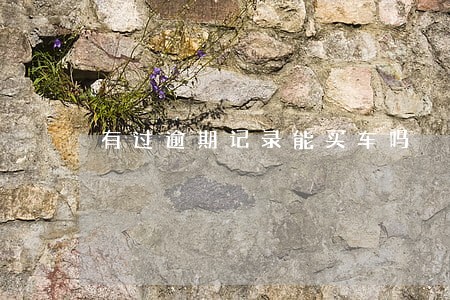 有过逾期记录能买车吗 有过逾期记录能买车吗