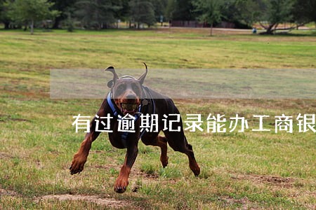 有过逾期记录能办工商银行卡吗 有过逾期记录能办工商银行卡吗