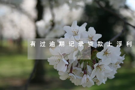 有过逾期记录贷款上浮利率 有过逾期记录贷款上浮利率