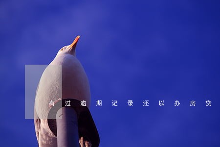 有过逾期记录还以办房贷吗 有过逾期记录还以办房贷吗