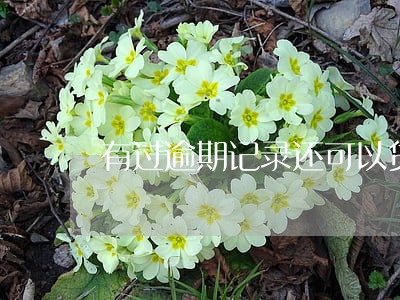 有过逾期记录还可以贷款吗 有过逾期记录还可以贷款吗