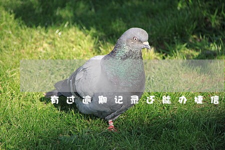 有过逾期记录还能办捷信手机 有过逾期记录还能办捷信手机