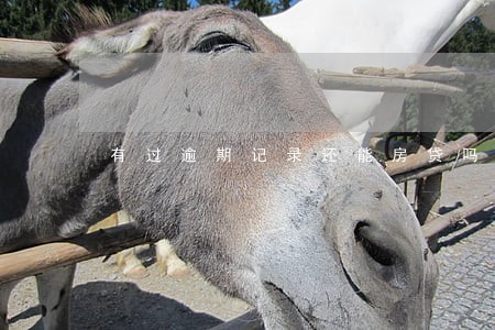 有过逾期记录还能房贷吗 有过逾期记录还能房贷吗