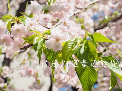 有过逾期记录还能贷款买车吗 有过逾期记录还能贷款买车吗