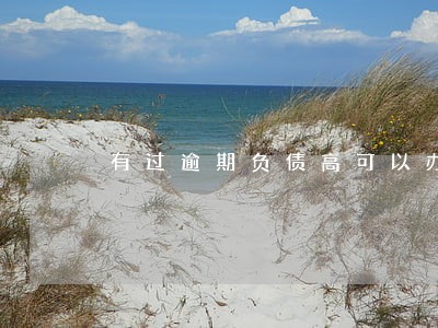 有过逾期负债高可以办什么信用卡 有过逾期负债高可以办什么信用卡