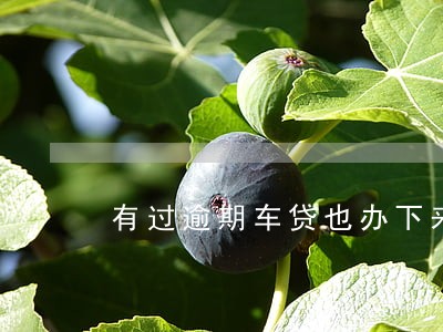 有过逾期车贷也办下来了 有过逾期车贷也办下来了