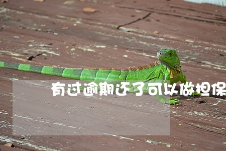 有过逾期还了可以做担保人吗