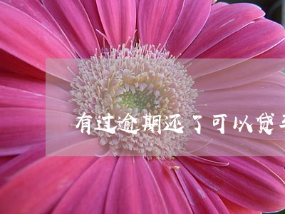 有过逾期还了可以贷车吗 有过逾期还了可以贷车吗