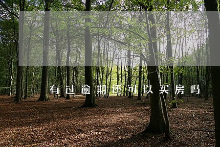 有过逾期还可以买房吗 有过逾期还可以买房吗