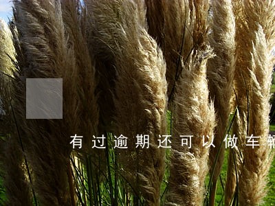 有过逾期还可以做车辆抵押吗 有过逾期还可以做车辆抵押吗