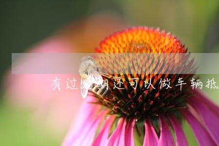 有过逾期还可以做车辆抵押嘛 有过逾期还可以做车辆抵押嘛