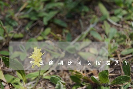 有过逾期还可以按揭买车吗 有过逾期还可以按揭买车吗