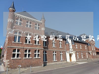 有过逾期还可以贷款买房子吗 有过逾期还可以贷款买房子吗