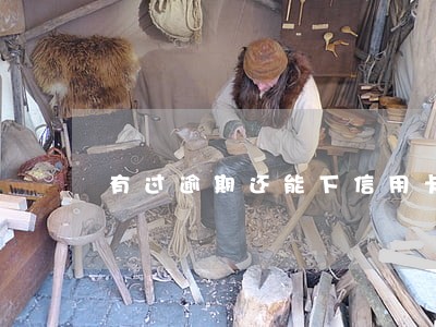 有过逾期还能下信用卡 有过逾期还能下信用卡