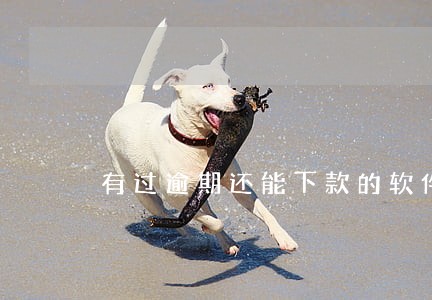 有过逾期还能下款的软件 有过逾期还能下款的软件