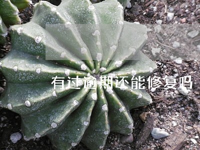 有过逾期还能修复吗