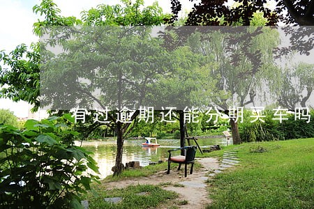 有过逾期还能分期买车吗 有过逾期还能分期买车吗