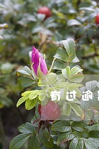 有过逾期还能办理小额贷款 有过逾期还能办理小额贷款