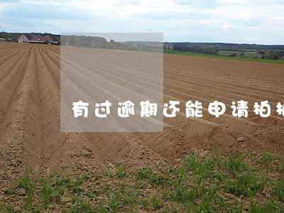有过逾期还能申请拍拍贷吗 有过逾期还能申请拍拍贷吗