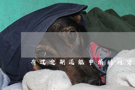 有过逾期还能申请的网贷有哪些 有过逾期还能申请的网贷有哪些