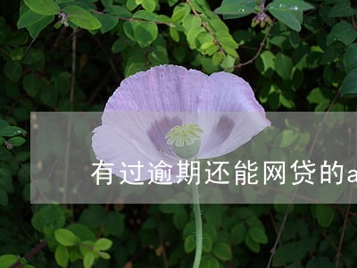 有过逾期还能网贷的app 有过逾期还能网贷的app