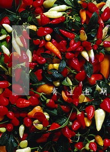 有过逾期还能贷款买房吗 有过逾期还能贷款买房吗