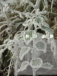 有过逾期金融公司给贷款吗 有过逾期金融公司给贷款吗