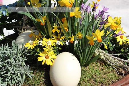 有过逾期销户 有过逾期销户