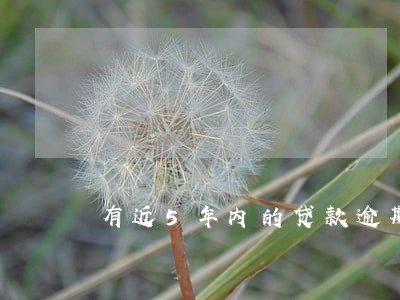 有近5年内的贷款逾期记录 有近5年内的贷款逾期记录