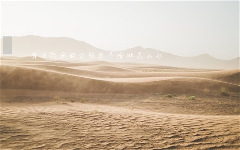 有还款逾期公积金不给批怎么办 有还款逾期公积金不给批怎么办