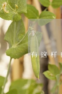 有这样的法律法规 有这样的法律法规