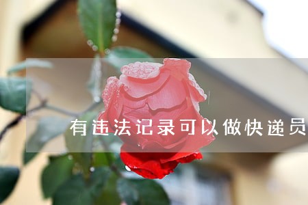有违法记录可以做快递员吗 有违法记录可以做快递员吗
