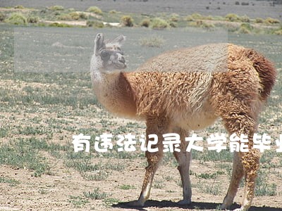 有违法记录大学能毕业吗 有违法记录大学能毕业吗