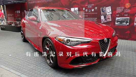 有违法记录对后代有影响吗 有违法记录对后代有影响吗