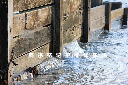 有违法记录能学车吗