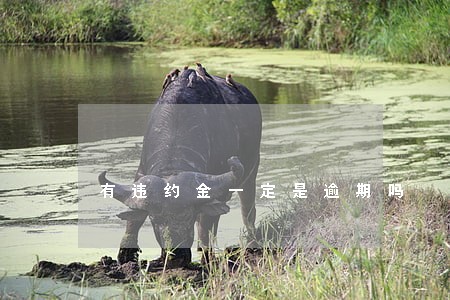 有违约金一定是逾期吗 有违约金一定是逾期吗