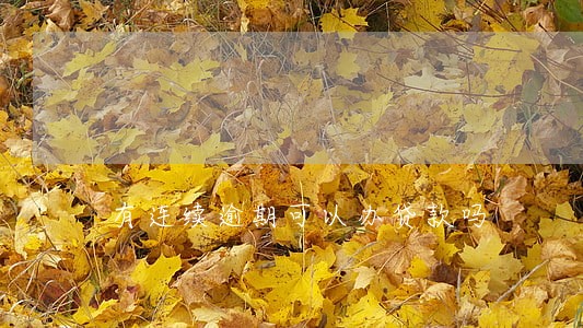 有连续逾期可以办贷款吗 有连续逾期可以办贷款吗