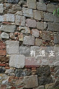 有透支利息是不是逾期了 有透支利息是不是逾期了