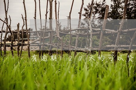有逾期120天的可以贷款吗 有逾期120天的可以贷款吗