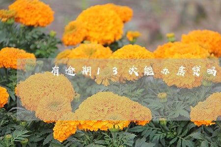 有逾期13次能办房贷吗 有逾期13次能办房贷吗