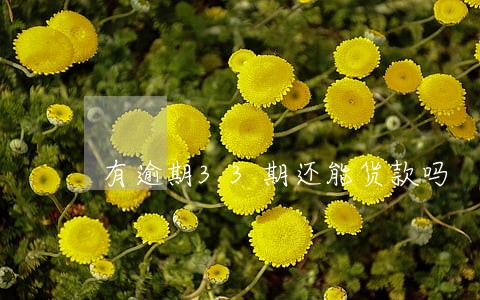 有逾期33期还能货款吗 有逾期33期还能货款吗